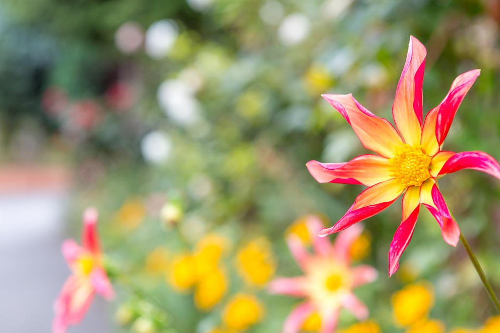 Diamond Road Mosque Slough - Gallery Image